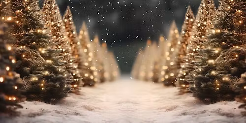 Winter Wonderland a 2nd Chance Prom 