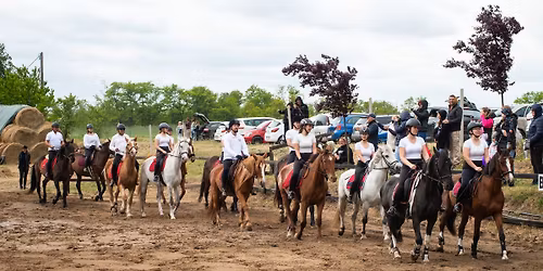 \u00c1llati j\u00f3 maj\u00e1lis csal\u00e1di rendezv\u00e9ny