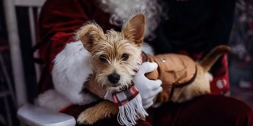 Pet Pictures with Santa Claus