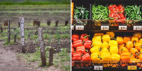 From Farm to Supermarket