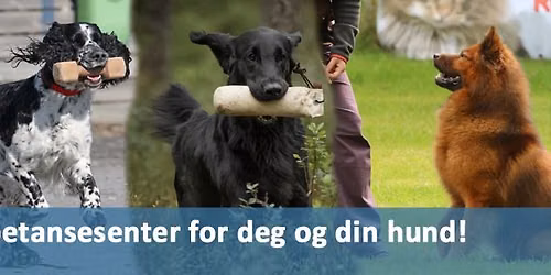 Konkurranselydighet med Emanuel Hetych (\u00d8sterrike)