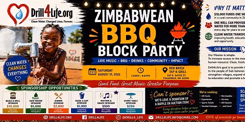 Zimbabwean BBQ Block Party