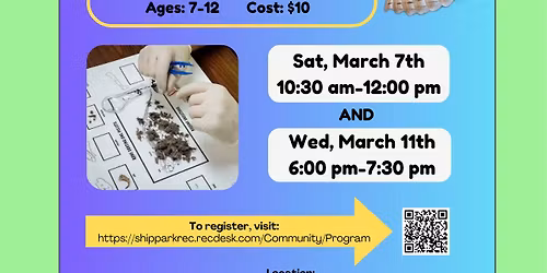 Dissecting Owl Pellets