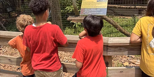 Conservation in Action Camp