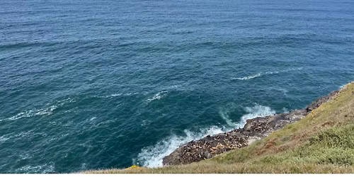 Florence Day Hike {NOW FULL} *Registration & Fee Required*