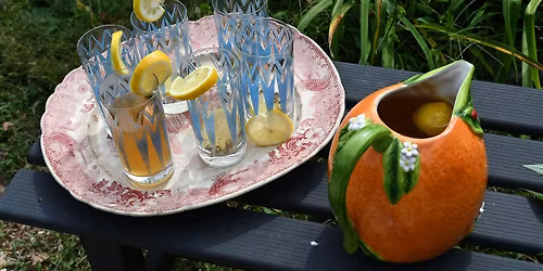 Queer Comfort: Herbal Tea Workshop