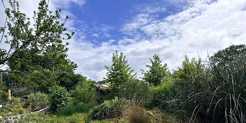 Home Ground Habitats Open House & Eco-Friendly Garden Tour