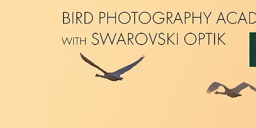 BIRD PHOTOGRAPHY ACADEMY with SWAROVSKI OPTIK
