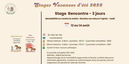 Stage Rencontre avec les poneys