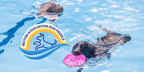 Dog Paddle 2026 - Newbridge Pool