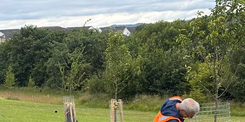Tree planting at Duloch Park