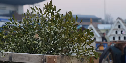 Sunbury Antiques Market