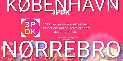 3P - m\u00f8de med fokus p\u00e5 Bedringshistorie.