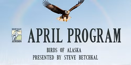 April Program: Birds of Alaska by Steve Betchkal