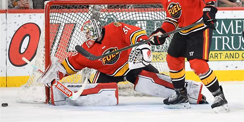 Indy Fuel vs. Toledo Walleye