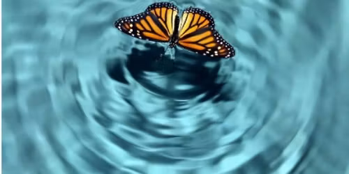 Sacred Waters: A Ceremony of Letting Go