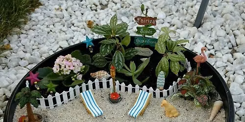 Zen Fairy Garden
