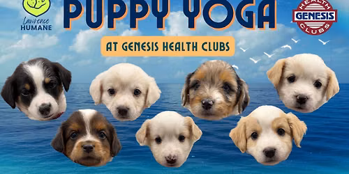 Puppy Yoga