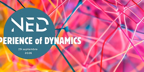 NED - New Experience of Dynamics