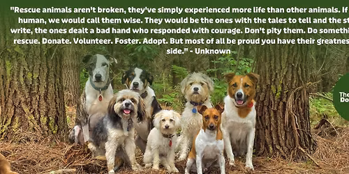 Auckland Pet & Animal Expo Featuring The Dog Rescue Project