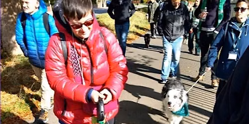 Croydon Mencap x Care Dogs