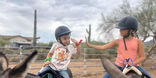 Donkeysmanship Workshop