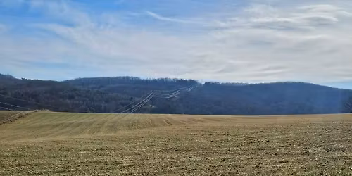 35 Acres of Farmland