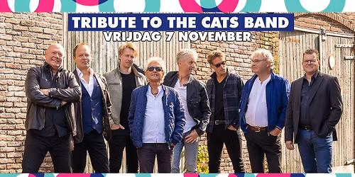 Tribute To The Cats Band
