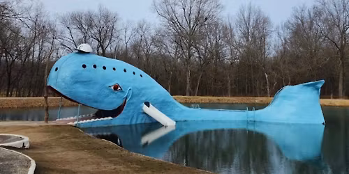 Blue Whale Grand Re-opening