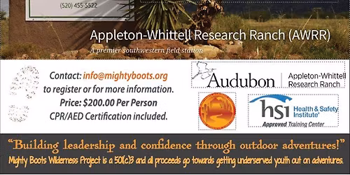 Wilderness First Aid Certification Course