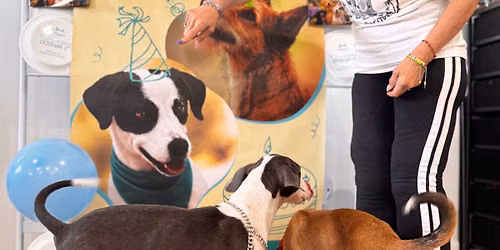 DOGust Celebration\/Adoption Event