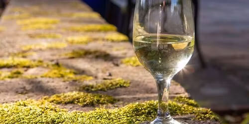 Trillium and Wine: Complementary Pairings