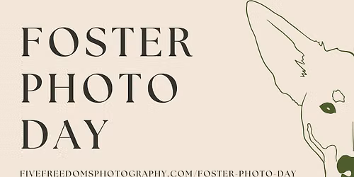 November Foster Photo Day