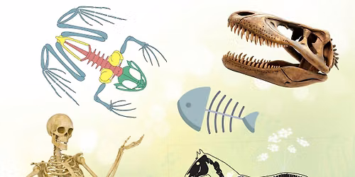 Backbone Bonanza! - Free Children's Program (Recommended for Ages 3-5)