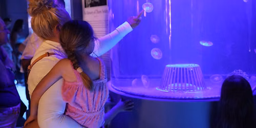 Community Reopening Celebration Day (Free Admission)