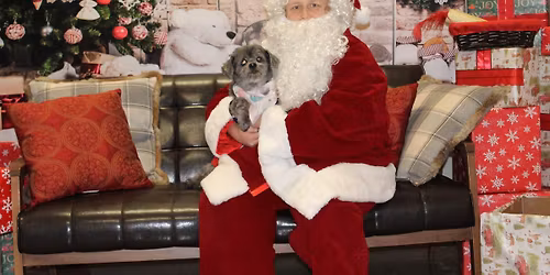 Pet Pictures with Santa