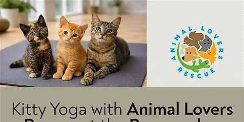 Kitty Yoga with Animal Lovers Rescue at the Peacemaker