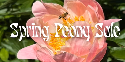 Spring Peony Sale 