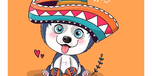 Cinco de Mayo with Therapy Dogs United