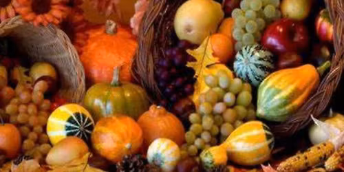 Thanksgiving Gratitude Yoga Flow