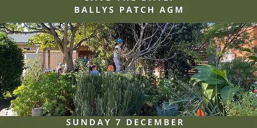 BALLY'S PATCH DECEMBER MEET UP AND AGM