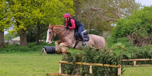 Mandy Hall Hedge Hopping and Log Popping