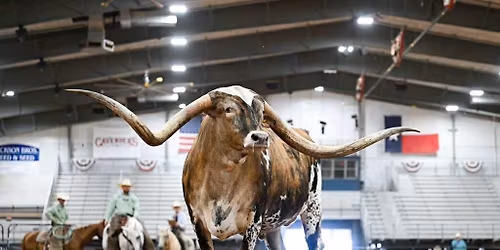 Lone Star Christmas Parade