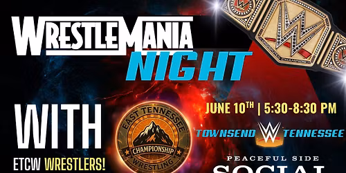 WWE Theme Night 