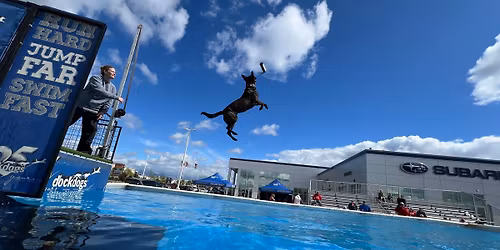 DockDogs\u00ae at Subaru Loves Dogs