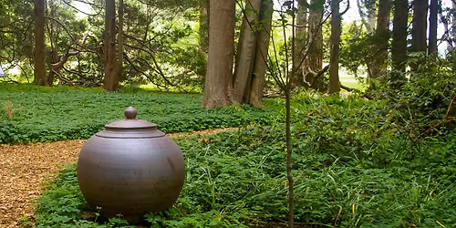 Berkshire Botanical Garden presents 'Grand Gesture: Monumental Vessels in the Garden'