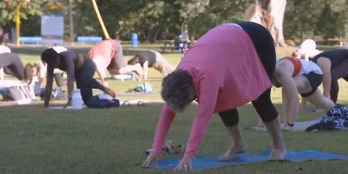 Yoga in the Park