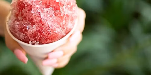 Free Snowcone with Park Admission