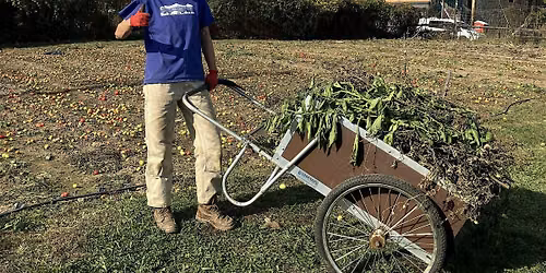 How to Prepare the Garden for Winter