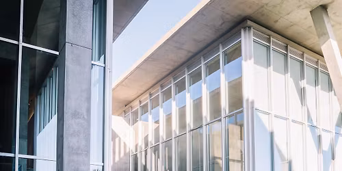 Dance at the Modern: Gazes